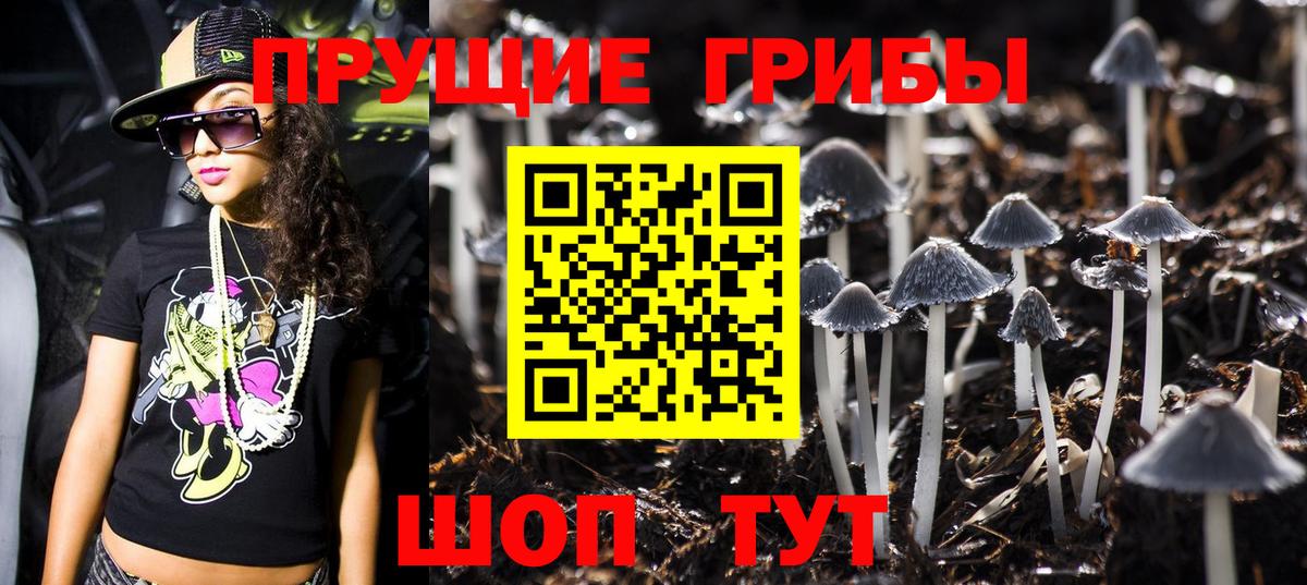 Псилоцибиновые грибы Psilocybine cubensis  продажа наркотиков  Вход с VPN  Новороссийск  Галлюциногенные грибы прущие грибы 