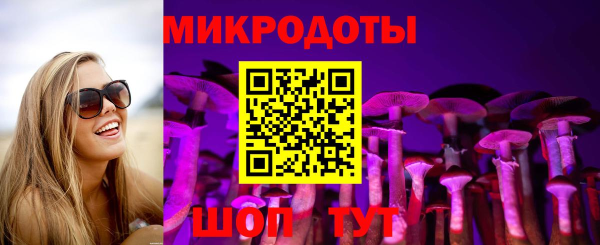 Галлюциногенные грибы ЛСД Новороссийск